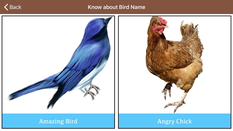Learning Birds Puzzle screenshot-3
