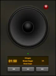 stereo speakers iPad Captures Décran 1