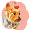 Cute Yorkie YorkieMoji Sticker problems & troubleshooting and solutions