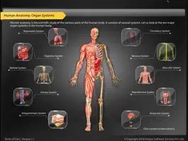 Game screenshot Human Anatomy - Digestive mod apk