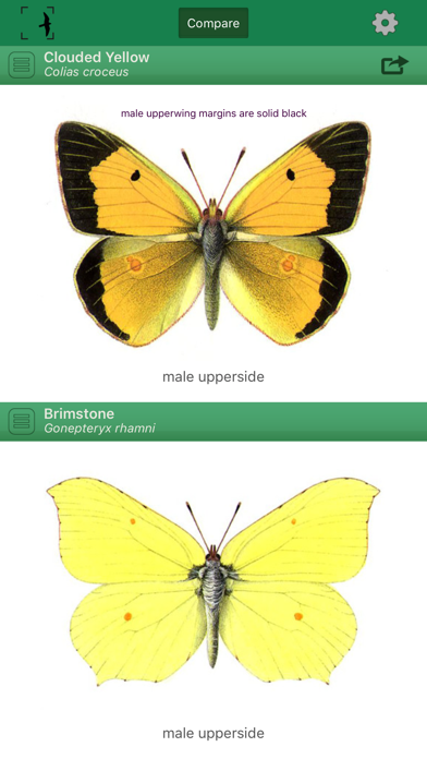 British & Irish Butterfliesのおすすめ画像2