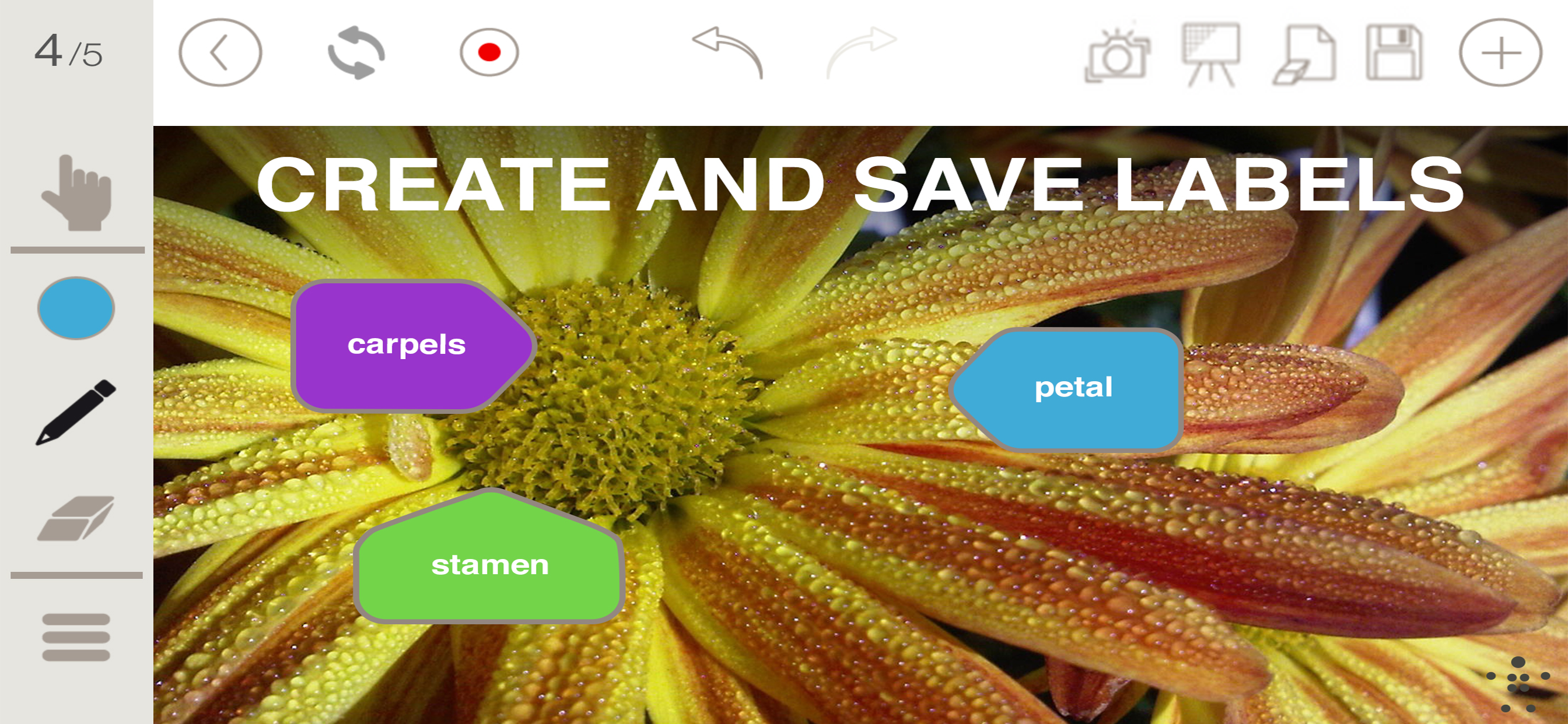 Stage Pro by Belkin for iPhone