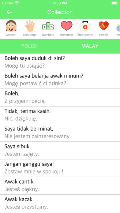 Screenshot #2 pour Polish Malay Dictionary