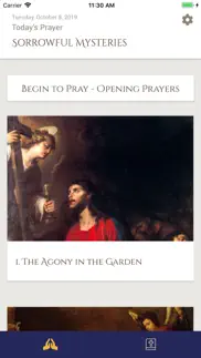 contemplative rosary iphone screenshot 2