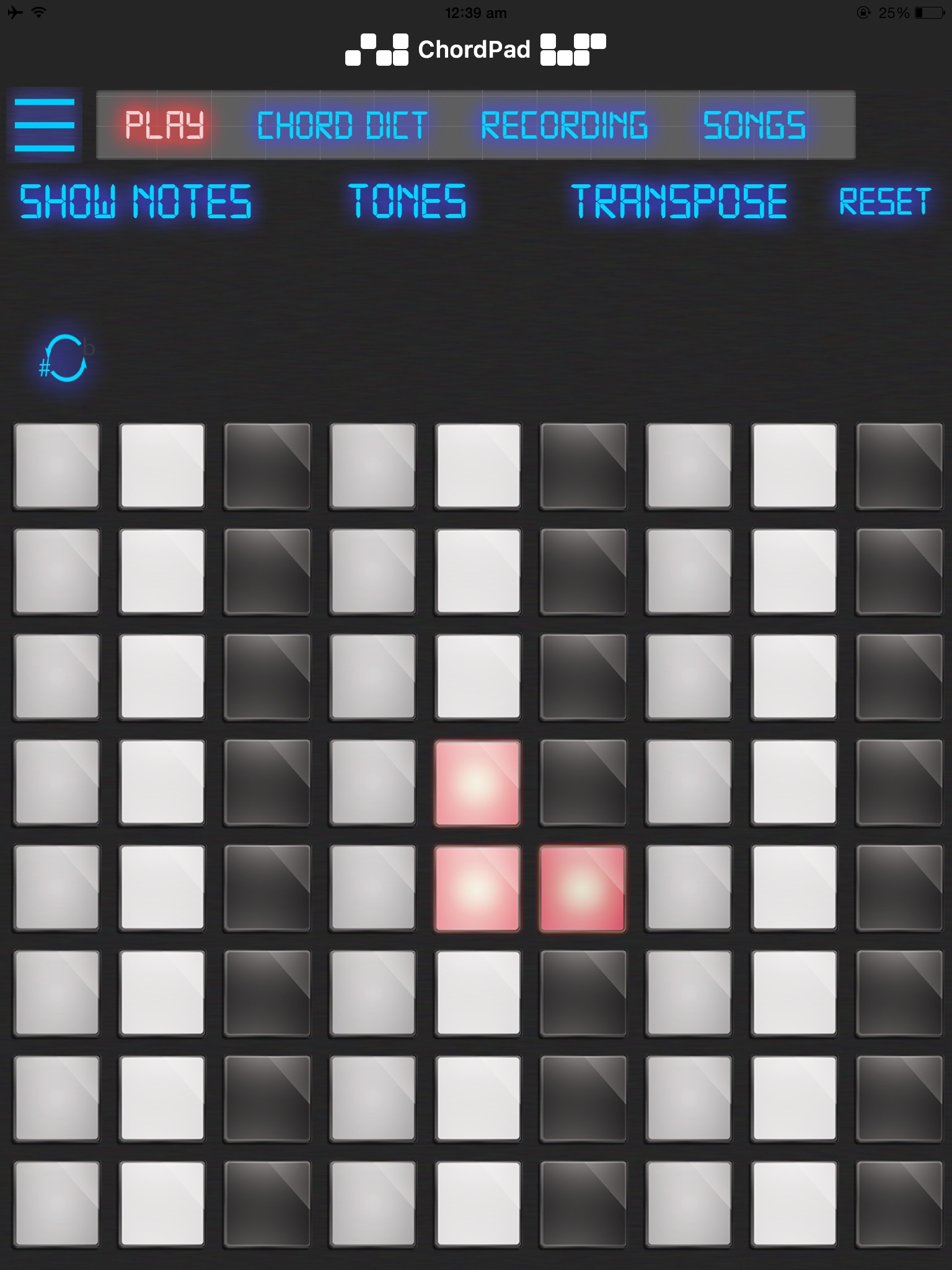 DJ Paco ChordPad screenshot 3