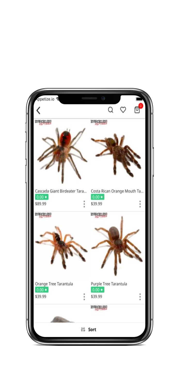 Underground Reptiles