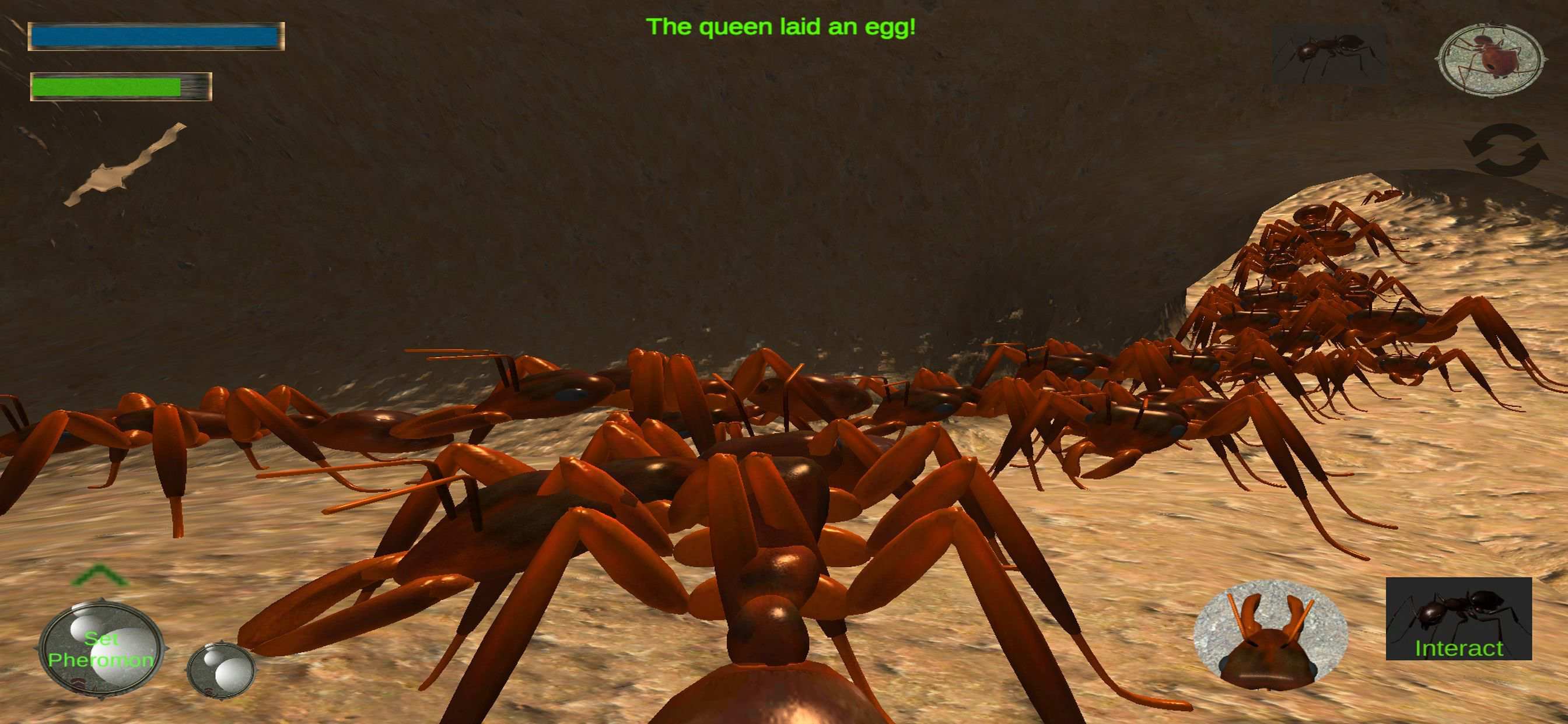 Ant Simulation Full