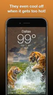 wildlife wallpaper weather iphone screenshot 4