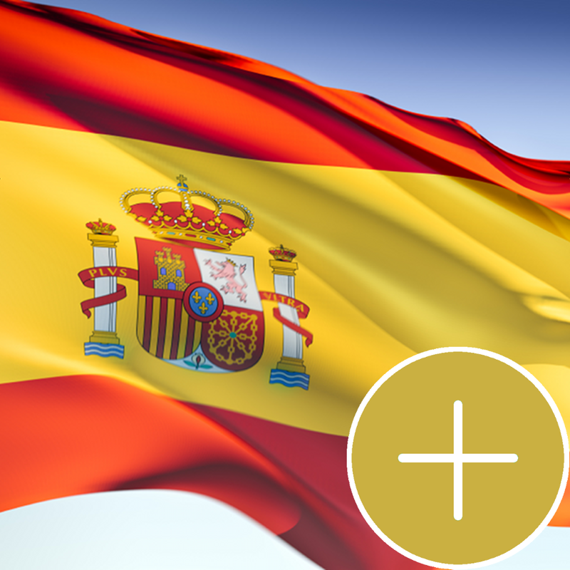 Spanish Verb Conjugator Pro