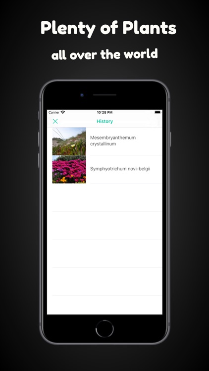Plant identification-Identify