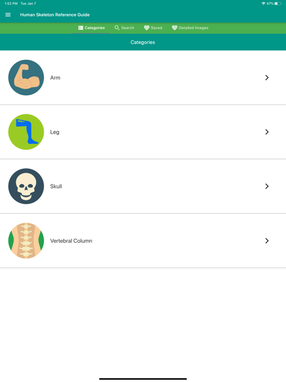 Screenshot #4 pour Human Skeleton Reference Guide