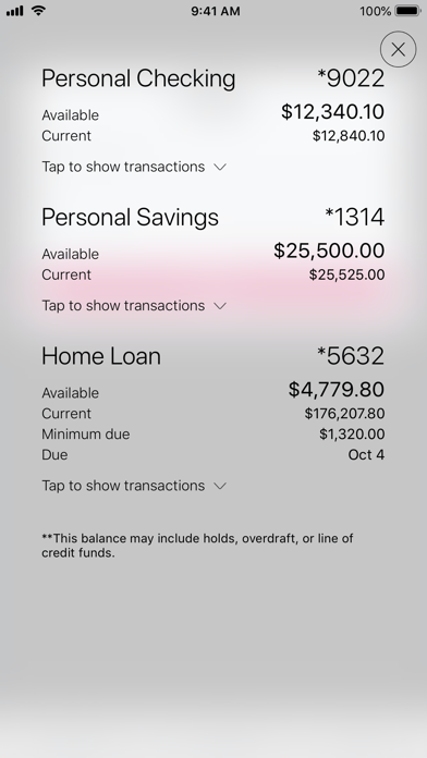 The Marion National Bank Screenshot