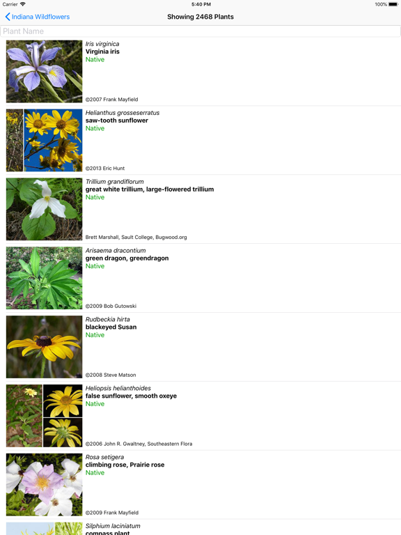 Screenshot #5 pour Indiana Wildflowers