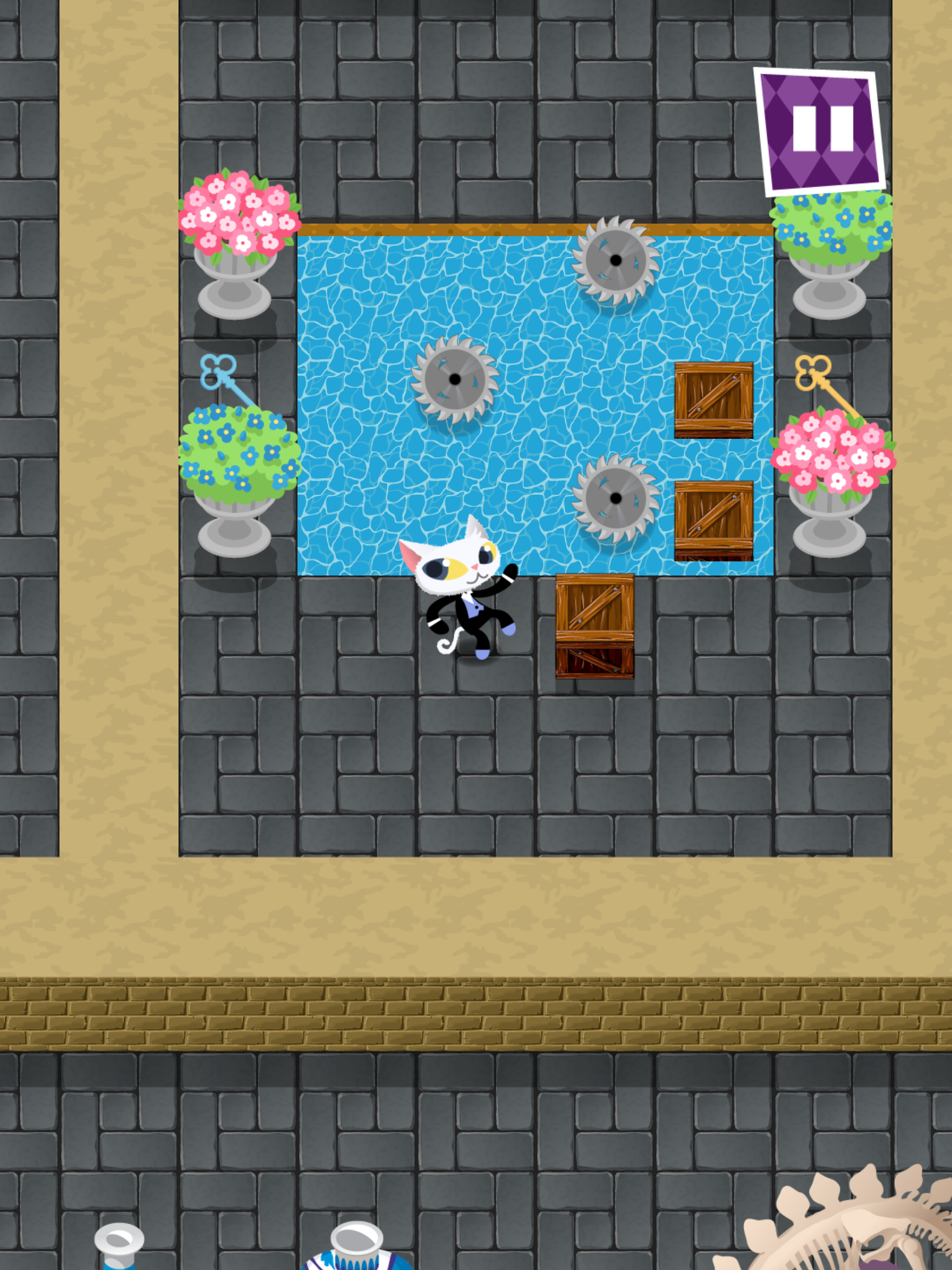Phantom Cats