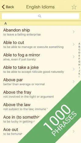 Game screenshot Idiom in Use Advanced English apk