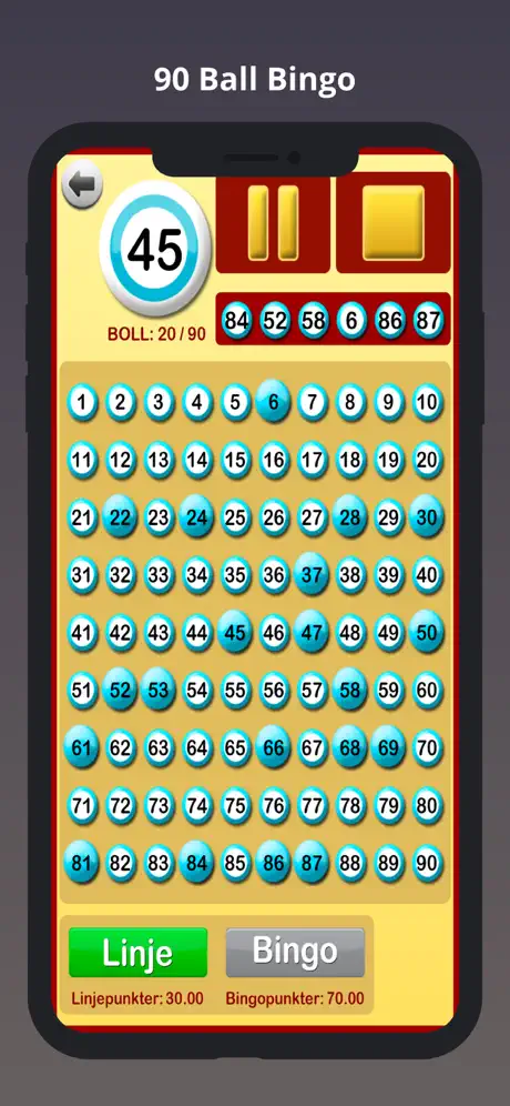 Bingo Hemma
