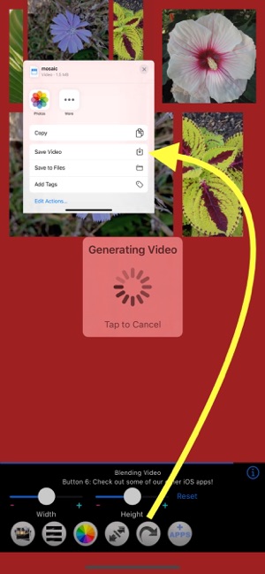 Photo Collage - Video, GIF too(圖9)-速報App