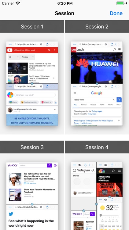 Split Screen: MultiTasking Web screenshot-7