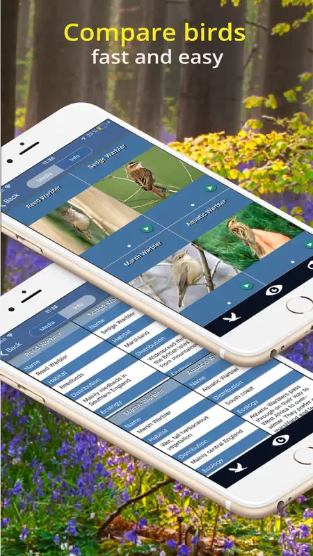 Bird Id - British Isles birds screenshot 7 of 9