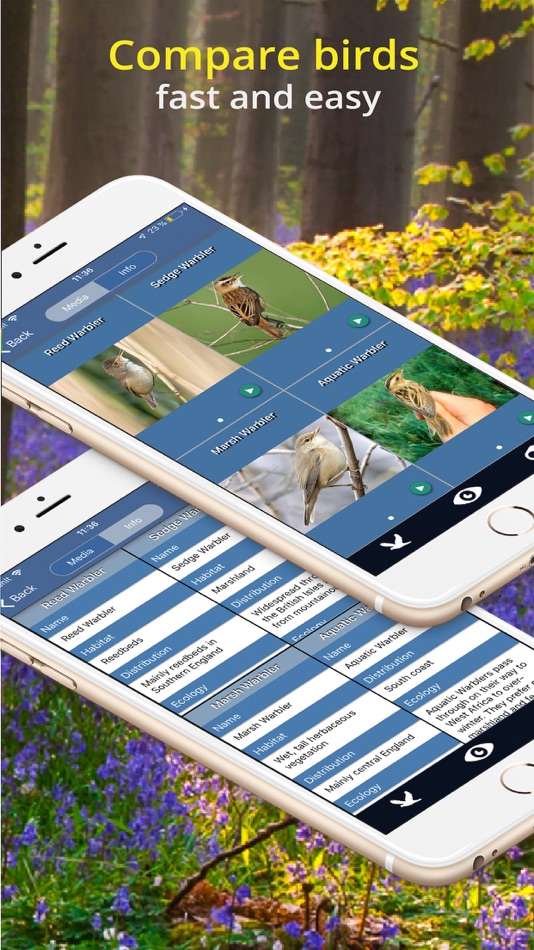 #7. Bird Id - British Isles birds (iOS) 由: Sunbird Images OHG