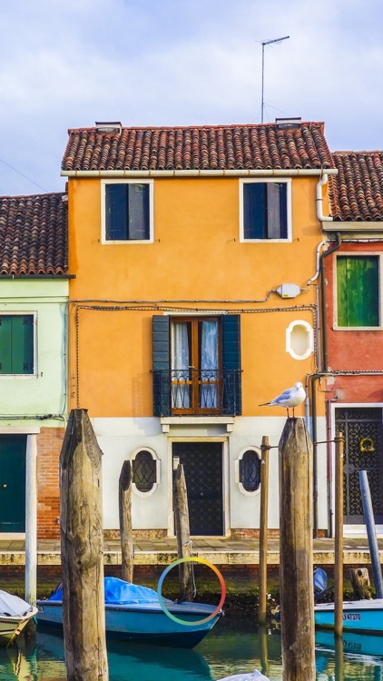 Next Meal screenshot-3