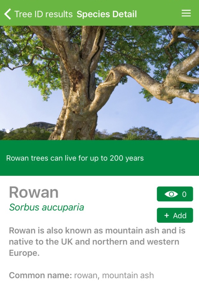 British tree identification screenshot 4