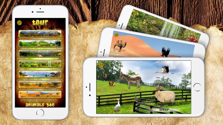 Animals 360 Gold screenshot-4