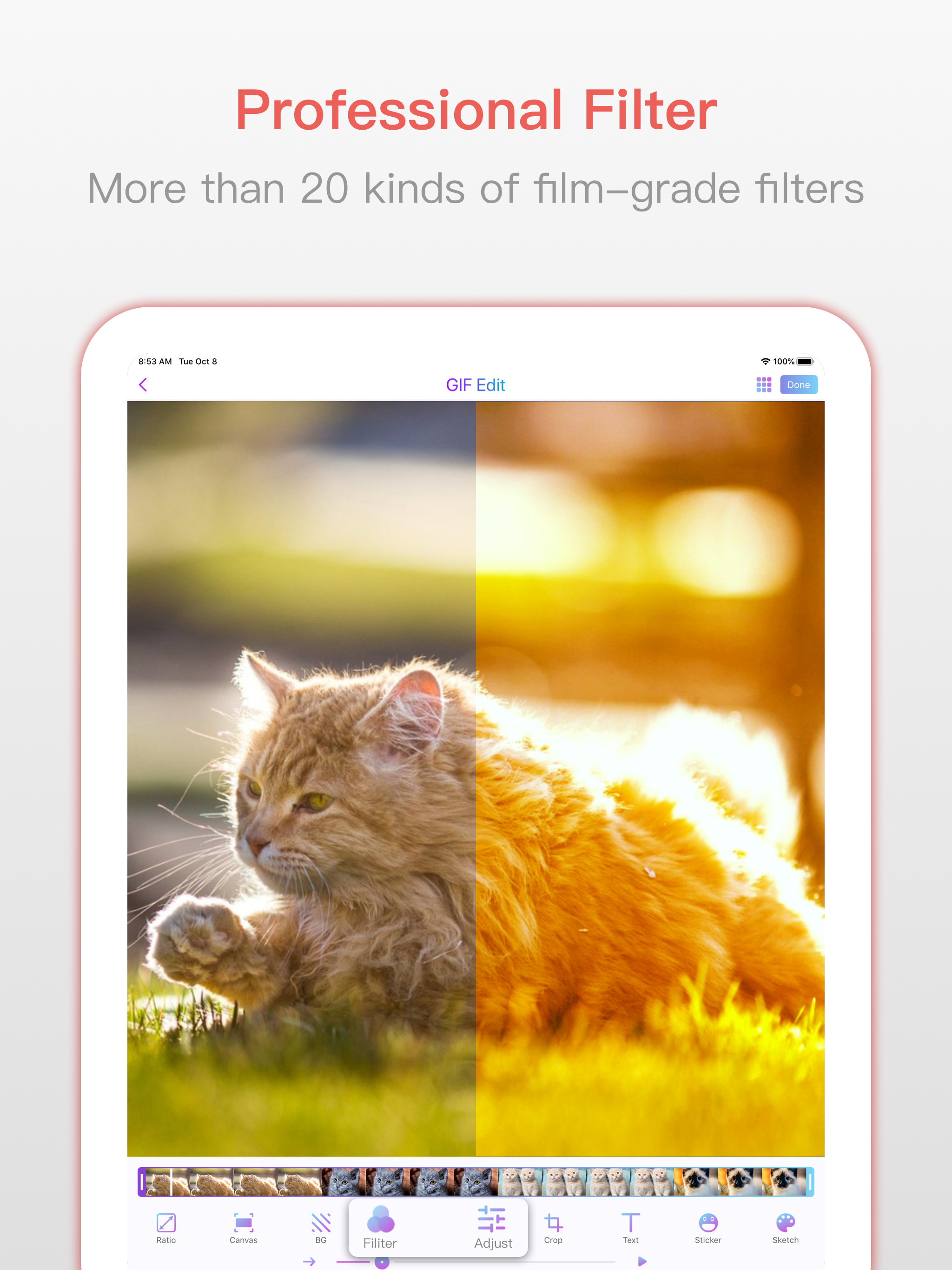 GIF Maker - Videos To GIF