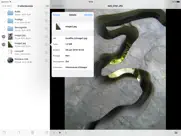 usb disk iPad Captures Décran 1