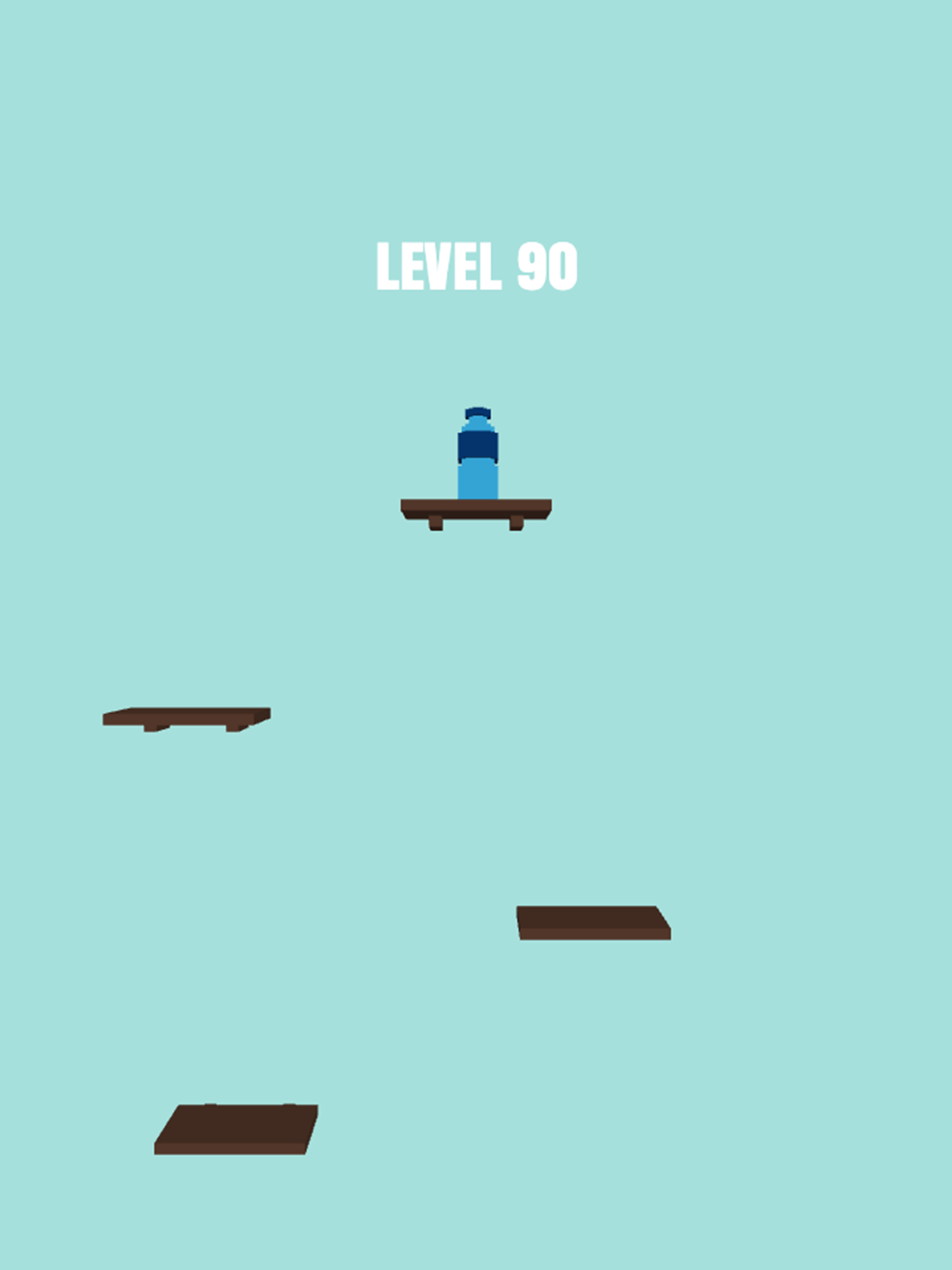 Bottle Flipper 3D