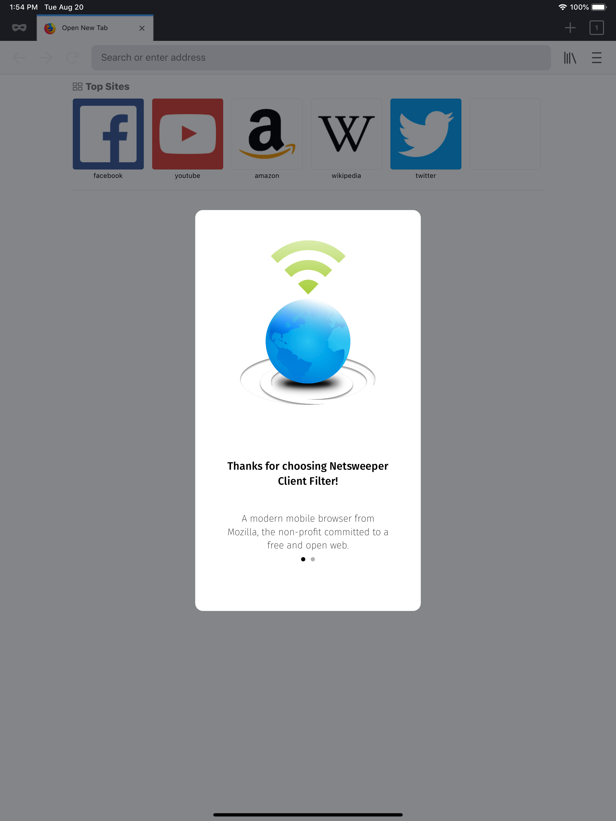 Netsweeper Client Filter screenshot 5