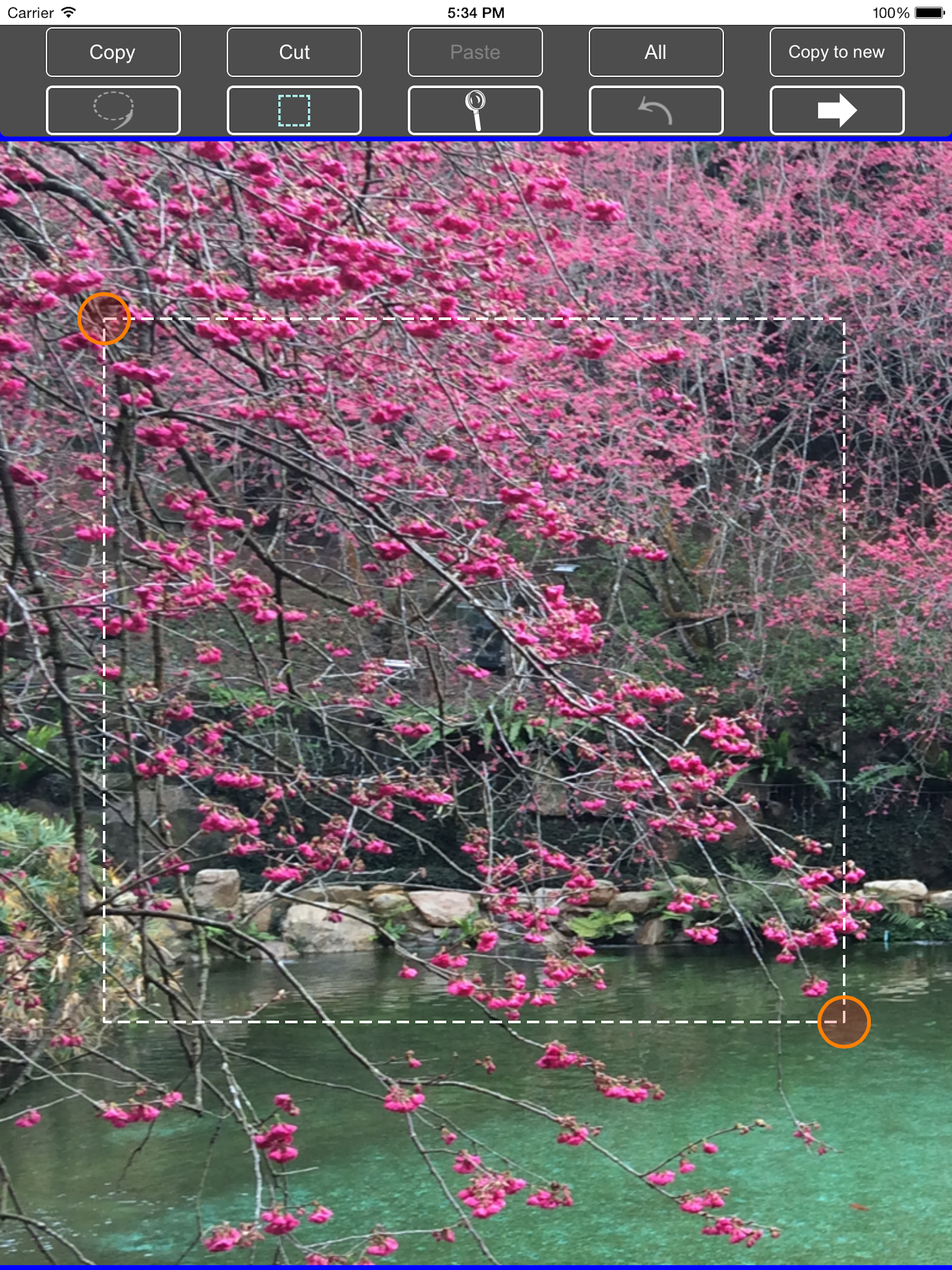 TC Photo Editor
