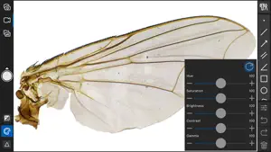 ToupView screenshot 2