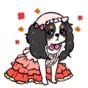 Adorable Cavalier Dog Sticker app download