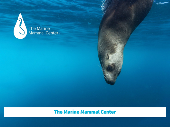 The Marine Mammal Center Tour