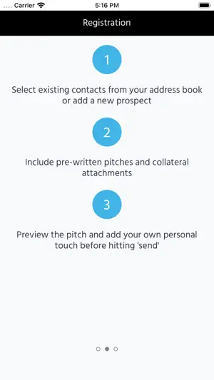 Solution Pitches screenshot 2