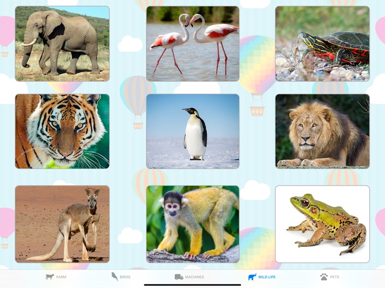 Toddler Flash Cards: Pictures screenshot-4