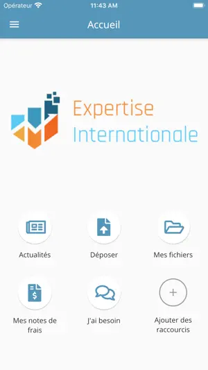 Expertise Internationale screenshot 1