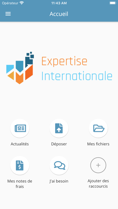 Expertise Internationale Screenshot