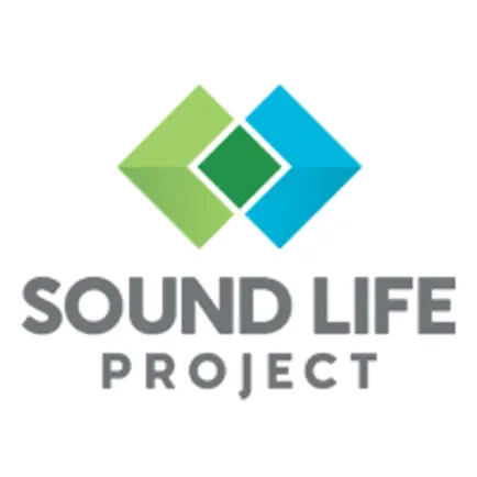 Sound Life Project Читы