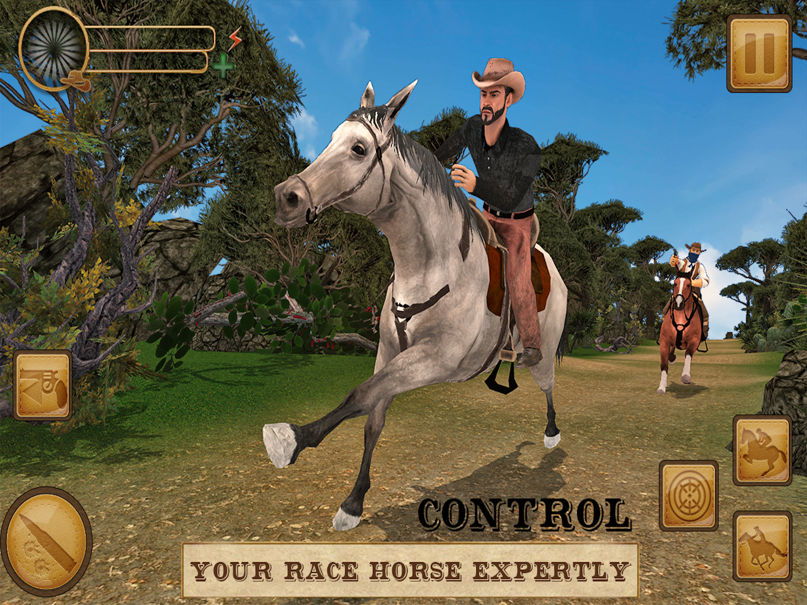 Wild West Horse Racing screenshot 7