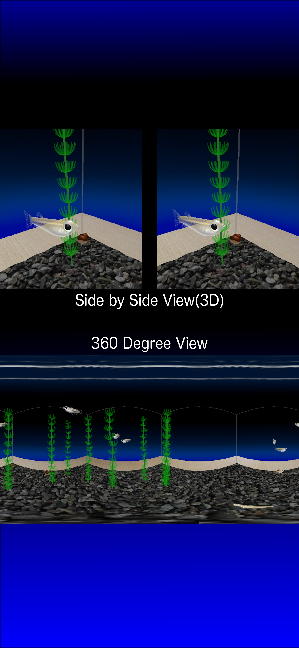 Rice Fish AR/VR