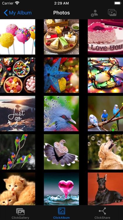 CLICK - Store,Secure and Share screenshot-4
