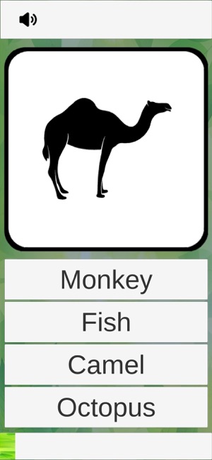 Sennuba Vocab Builder(圖3)-速報App