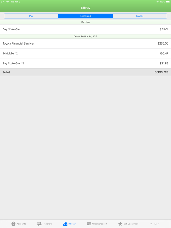 Vida FCU Mobile Banking iPad screenshot 6 - Finance app