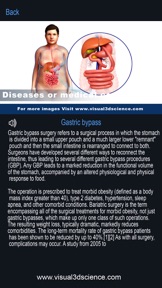 My Digestive System Anatomy screenshot