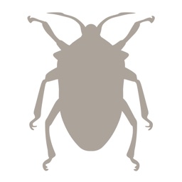 Fieldstone Guide: Insects