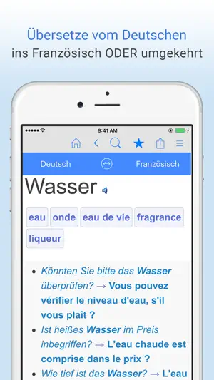 Deutsch–Französisch Wörterbuch screenshot 1