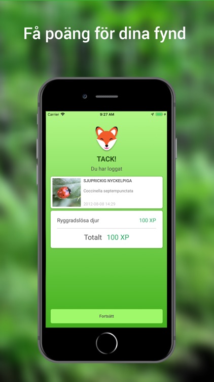 Biologg - naturen som ett spel screenshot-3