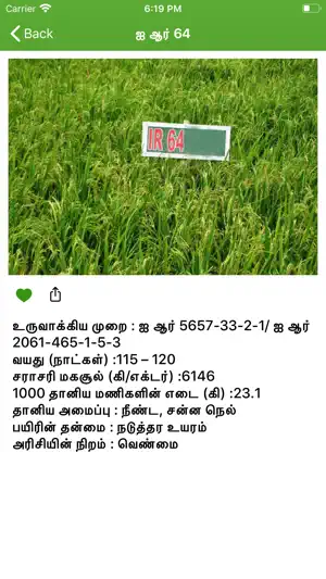 Paddy Varieties screenshot 4